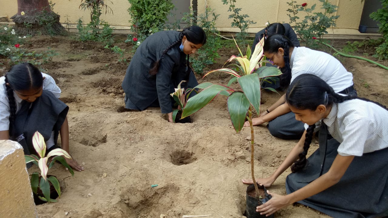 STD 9 Supw Plantation